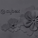 CYBEX Fusak SIMPLY FLOWERS - Dream Grey