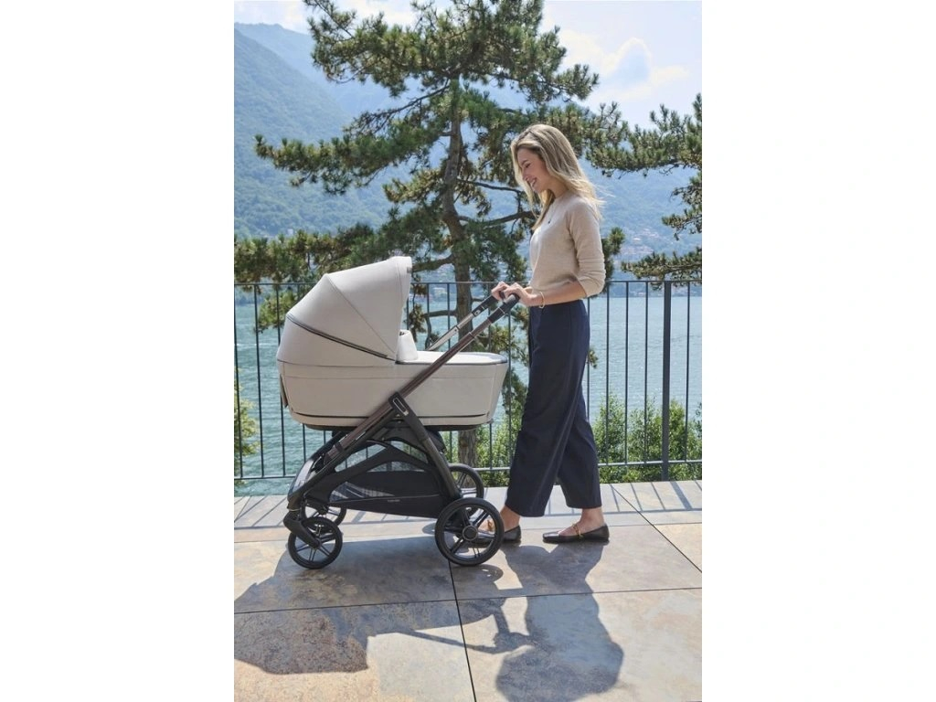 INGLESINA Aptica Duo 2v1 Platinum Grey
