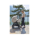 INGLESINA Aptica Darwin Recline 4v1 Platinum Grey