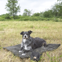 PALOPA Podložka na ležanie Dog Mat Alma anthracite S