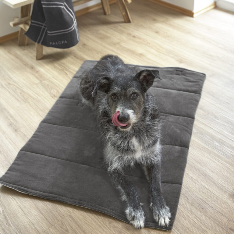 PALOPA Podložka na ležanie Dog Mat Alma anthracite S