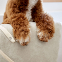 PALOPA Osuška pre psa Dog Towel Kosy beige S