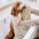 PALOPA Osuška pre psa Dog Towel Kosy beige S