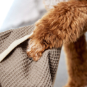 PALOPA Osuška pre psa Dog Towel Kosy taupe M - L