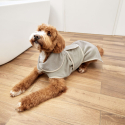 PALOPA župan pre psa Dog Bathrobe Robi beige S